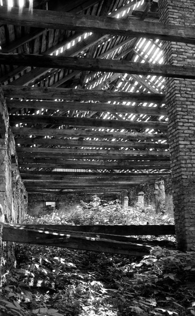 Abandoned barn near lake Solina in the Bieszczady mountains. (Michel Botman Photography, Poland 1977)
