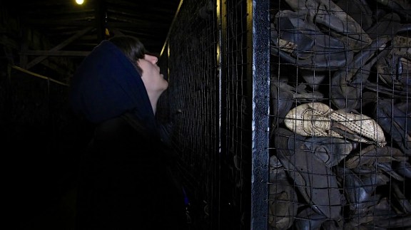 Noah Botman, Majdanek, April 2013 (The March of the Living)