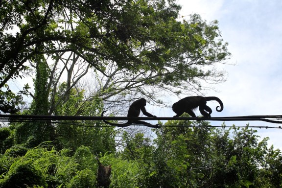 Nicoya Peninsula, Costa Rica. © Michel Botman Photography, 2013.